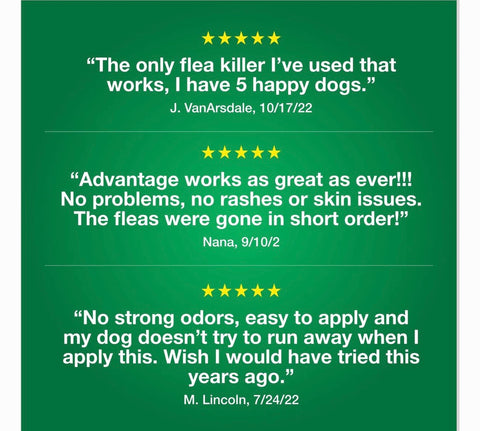 Advantage II Flea Spot Treatment for Dogs, over 55 lbs, 6 Doses (6-mos. supply)