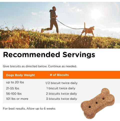 Nutri-Vet Skin & Coat Biscuits for Dogs - Tasty Dog Treat & Dog Skin and Coat Supplement - Small Sized Biscuit - Omega-3 and Biotin Dog Treat - 16 oz