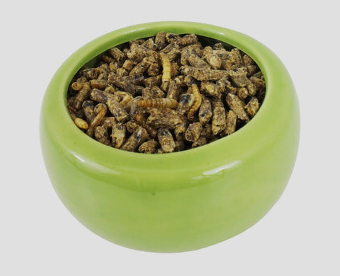 Hedgehog Complete Hedgehog Food 2 lbs