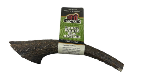 large whole elk antler red barn 1.9 oz