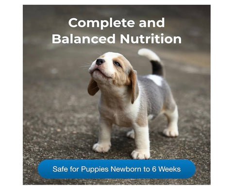 Pet-Ag PetLac Powder for Puppies - 10.5 oz - Puppy Milk Replacement Powder for Puppies Newborn to Six Weeks Old - Easy to Digest
