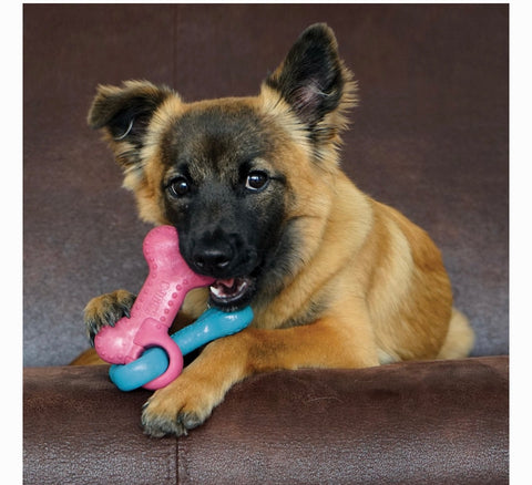 KONG ChewStix Puppy Linked Bones, Pink/Blue, Medium
