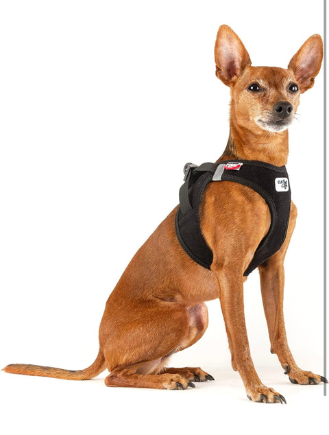 Curli

Vest Harness curli Clasp Cord Black