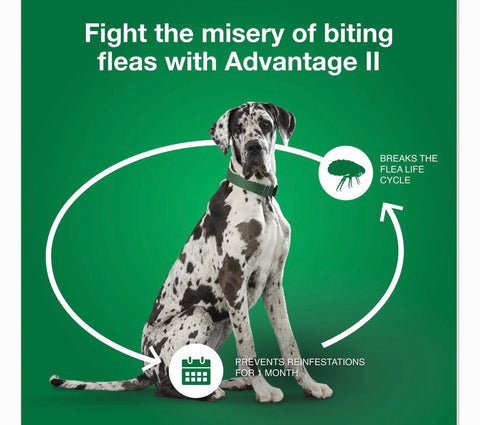 Advantage II Flea Spot Treatment for Dogs, over 55 lbs, 6 Doses (6-mos. supply)