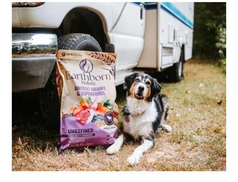 Earthborn Holistic Unrefined Roasted Lamb Recipe with Ancient Grains & Superfoods Dry Dog Food (4 Pounds)