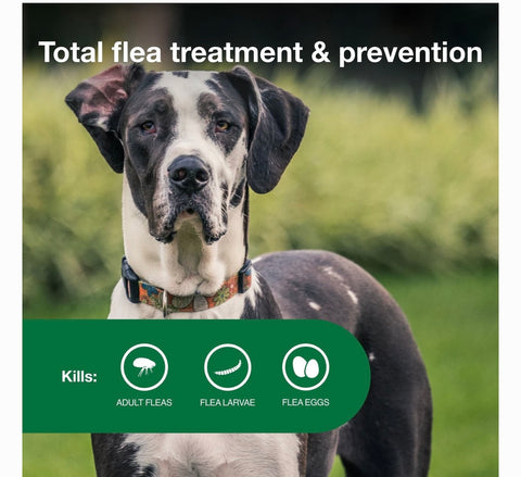 Advantage II Flea Spot Treatment for Dogs, over 55 lbs, 6 Doses (6-mos. supply)