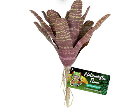 Zoo Med Naturalistic Flora Chestnut Bromeliad for Terrarium and Paludarium