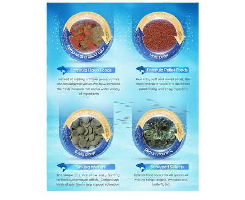 Ocean Nutrition Seaweed Select Green Marine Algae - Nutritious Fish Food for Herbivorous Marine Fish, Live Fish & Invertebrates - Natural Seaweed Sheets with Garlic Extract - 50 Sheets, 5.29 oz (150g