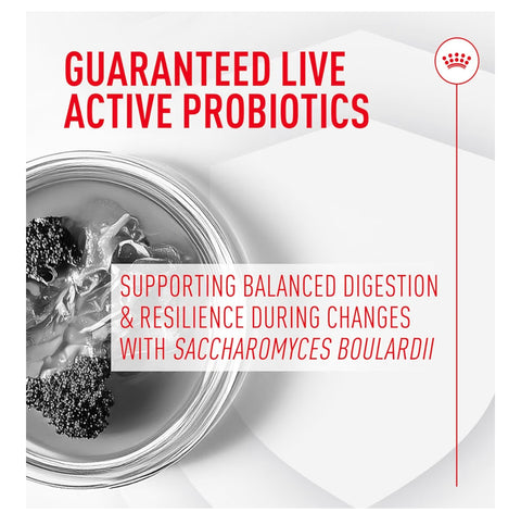 Royal Canin Probiotics for Dogs Digestive and Immune Health Powder Supplement for Dogs of All Ages, 7 Count