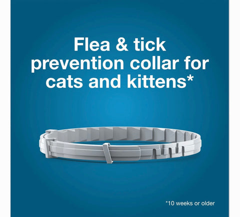 Seresto Flea & Tick Collar for Cats, 1 Collar (8-mos. supply)