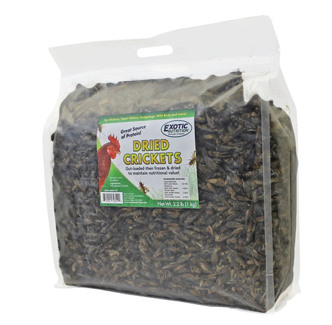 Dried Crickets 2.2 lb.