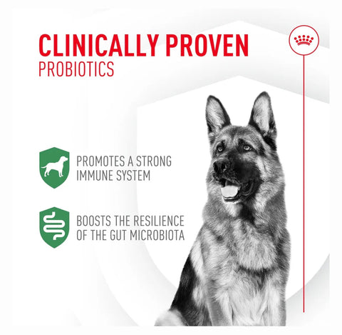 Royal Canin Probiotics Digestive & Immune Health Powder Supplement for Dogs, 30 count