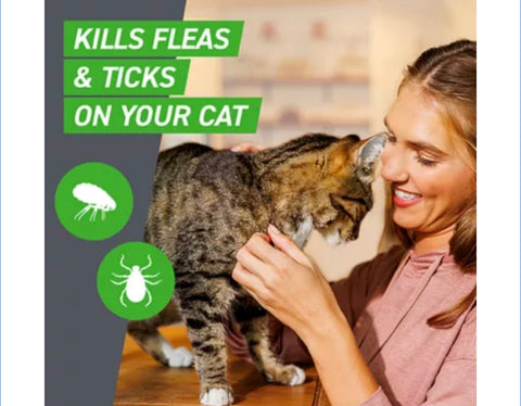 Frontline Plus Cat Flea & Tick Treatment 3 doses