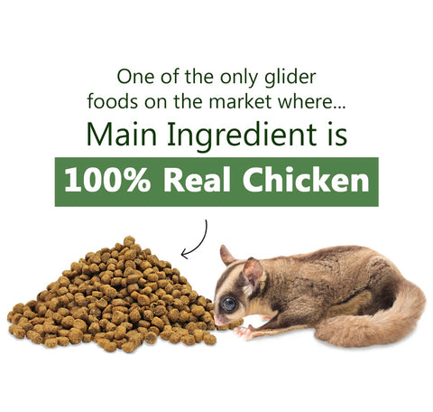 exotic nutrition glider essentials natural coconut flavor 1.75 lbs