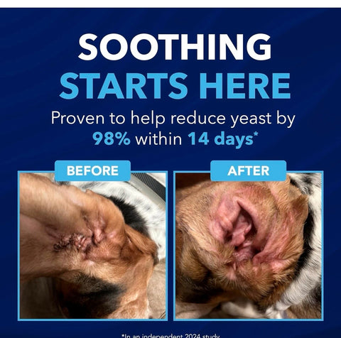 TropiClean OxyMed Enzymatic Dog Ear Cleaner, Treatment for Dogs, Vet Recommended Ear Cleaning Solution, Daily Wash Drops, Safe for Cats, USA Made, 4oz