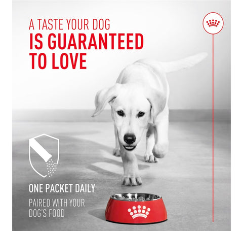 Royal Canin Probiotics for Dogs Digestive and Immune Health Powder Supplement for Dogs of All Ages, 7 Count