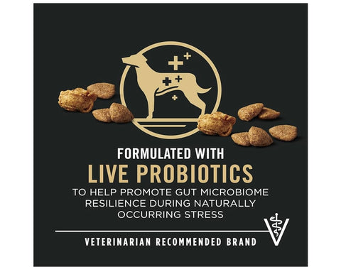 Purina Pro Plan Complete Essentials Shredded Blend Turkey and Rice Dog Food Dry Formula with Probiotics for Dogs - 15 lb. Bag