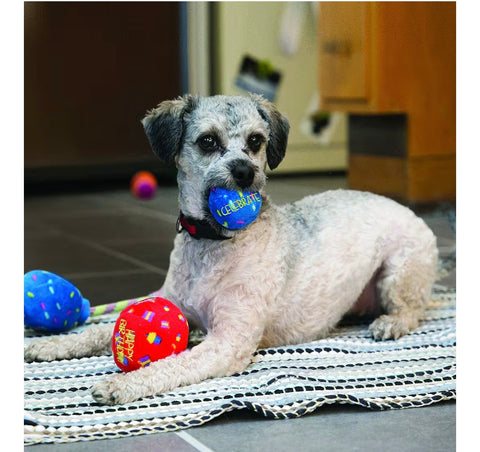 KONG Occasions Birthday Balls Dog Toy, Mediu