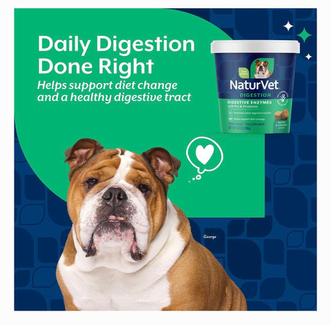 NaturVet Digestive Enzymes Plus Probiotic Soft Chews Digestive Supplement for Dogs, 70 count