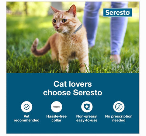 Seresto Flea & Tick Collar for Cats, 1 Collar (8-mos. supply)