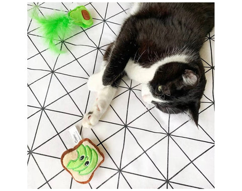 Avocado Toast cat toy