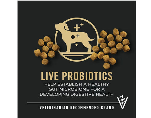 Purina Pro Plan High Protein Toy Breed Puppy Food DHA Chicken and Rice Formula - 5 lb. Bag