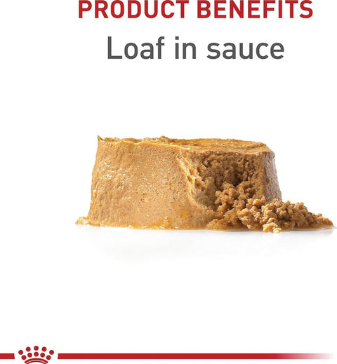 Royal Canin Canine Health Nutrition Puppy Loaf in Sauce Dog Food, 5.2 oz