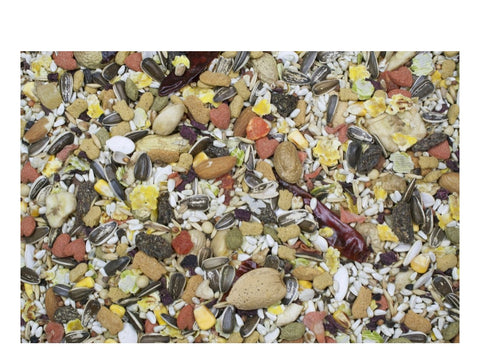 Higgins Sunburst Gourmet Blend Parrot Bird Food 3 lbs