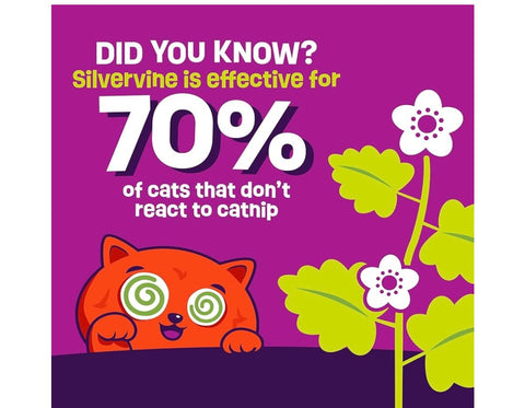 Mad Cat Purrfect Pizza Hide-A-Toy, Catnip + silvervine cat Toy, 2 Toys in 1, for Cats of All Ages