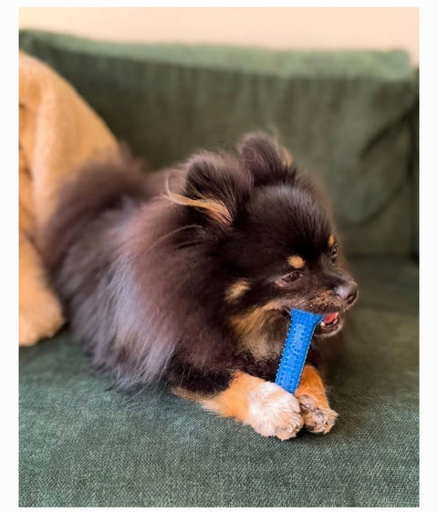 Nylabone Moderate Chew FlexiChew Dental Chew Toy, Textured Bone, Chicken, X-Small