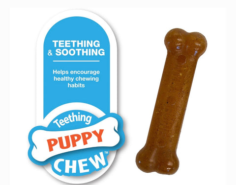 Nylabone Classic Puppy Chew Flavored Durable Chicken & Peanut Butter Brown Dog Chew Toy, X-Small, 2 count