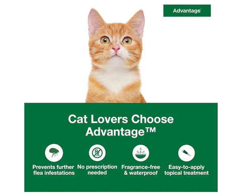 Advantage Topical Cat Flea Treatment and Prevention for Small Cats 2-9 lbs. | Apply Flea Drops Monthly | 2 Treatments