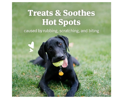 PetArmor Hot Spot Skin Remedy for Dogs, 4 oz