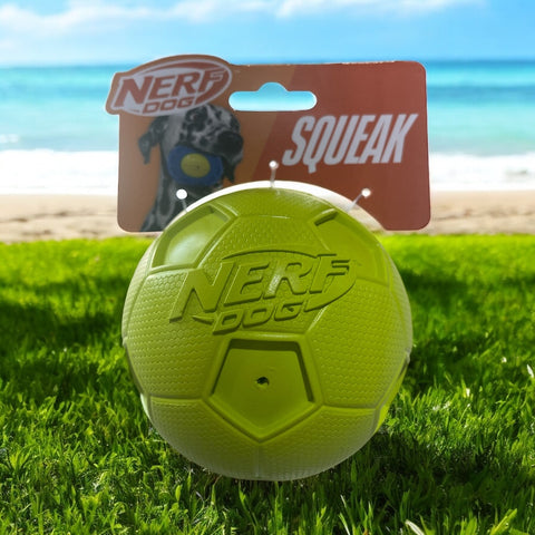 nerf dog squeak ball