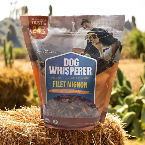 dog whisperer filet mignon 24 oz