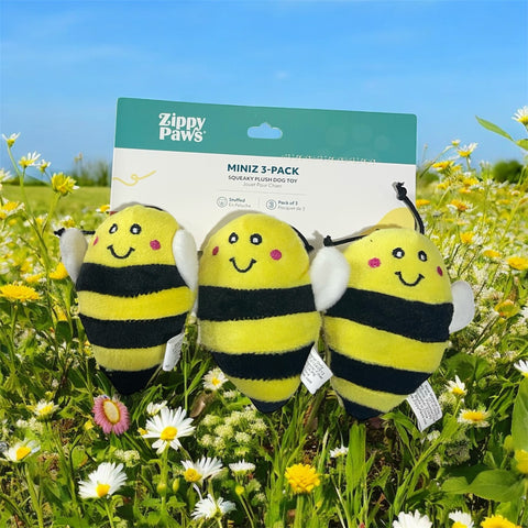 zippy paws 3 pack dog toy bees