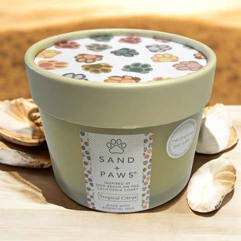 sand and paws candle tropics citrus