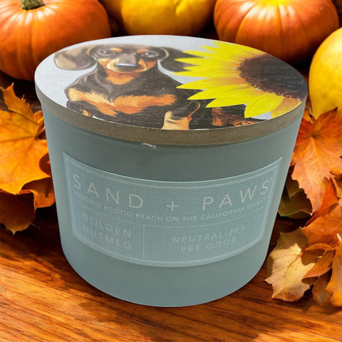 sand and paws candle golden nutmeg
