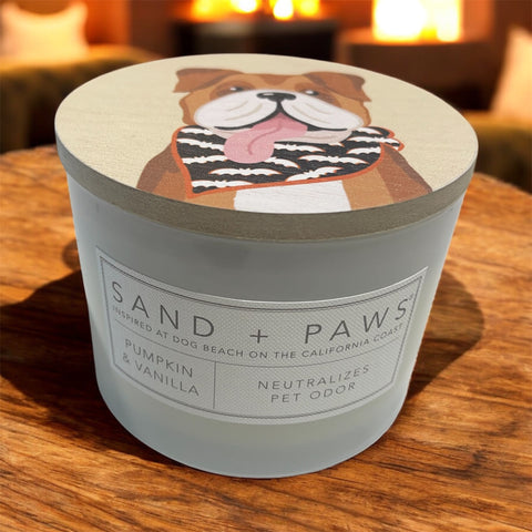 sand and paws candle pumpkin and vanilla
