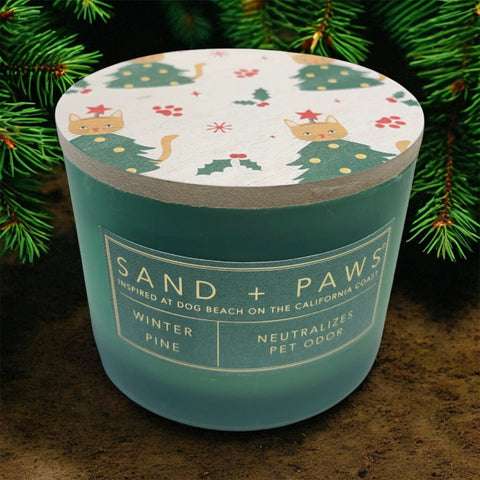 sand and paws candle winter pine