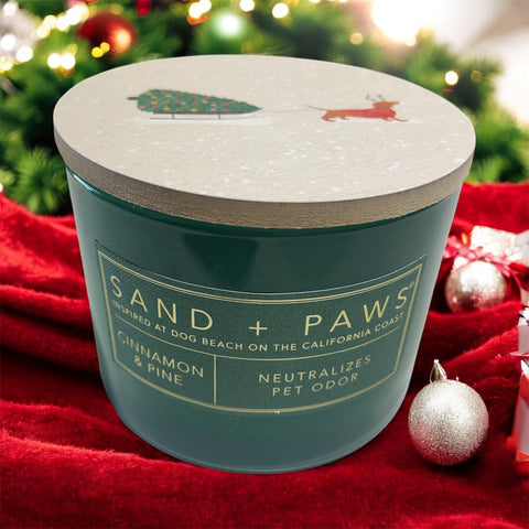 sand and paws candle cinnamon and pine