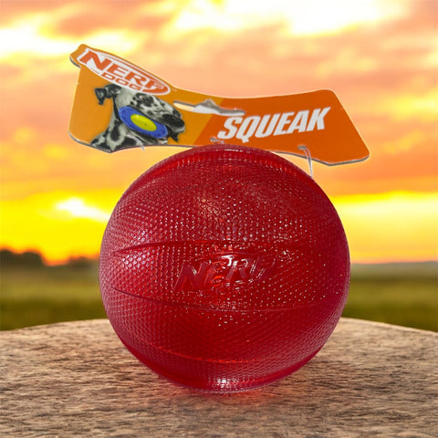 nerf dog squeak ball for large dogs