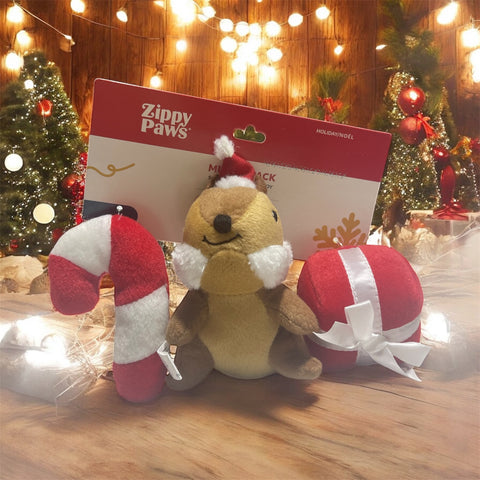 zippy paws 3 pack dog toy