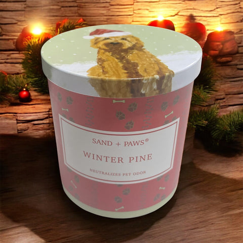 same and paws candle winter pine