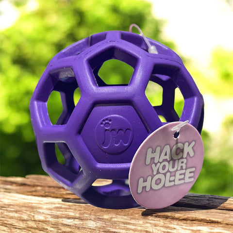 holee roller puppy ball
