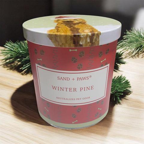 sand and paws candle winter pine