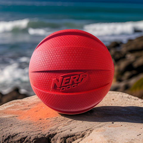 nerf dog ball squeak red