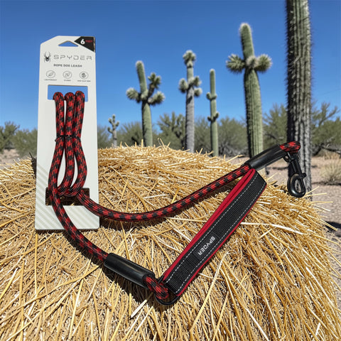 spyder rope dog leash 6 feet