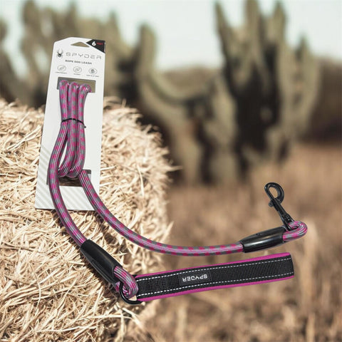 spyder rope dog leash 6 feet