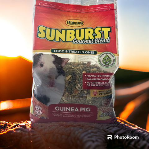 Higgins Sunburst Gourmet Food Mix for Guinea Pigs, 3 Pound